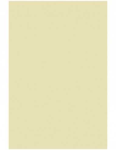 Papier lisse ivoire 140g Splendorgel Avorio (71x100cm)