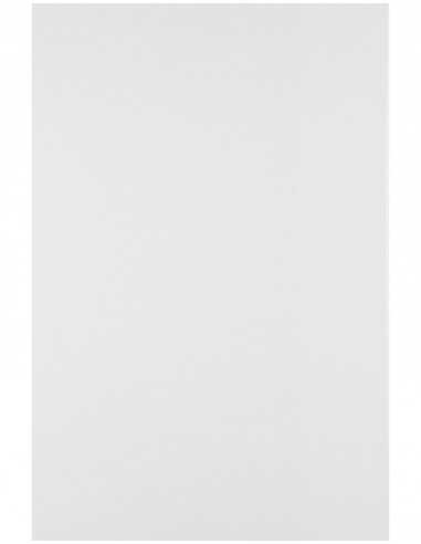 Papier ordinaire décoratif Splendorgel 140g Extra White 71x100