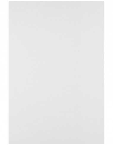 Papier ordinaire décoratif Splendorgel 300g Extra White 71x100