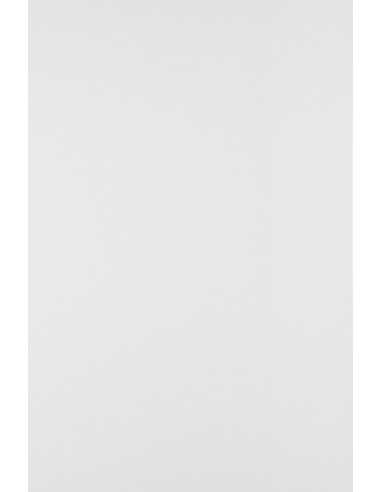 Papier ordinaire décoratif Splendorgel 150g Extra White 71x100 R200