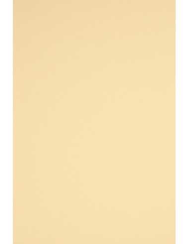 Papier coloré crème 230g Rainbow - 20 feuilles A4