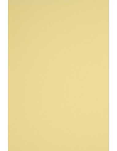 Papier coloré jaune clair 230g Rainbow - 20 feuilles A4