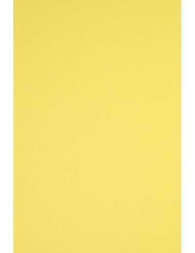 Papier coloré jaune 230g Rainbow - 20 feuilles A4