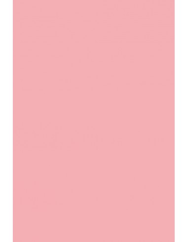 Papier ordinaire décoratif coloré Rainbow 230g R55 rose em. 20A4