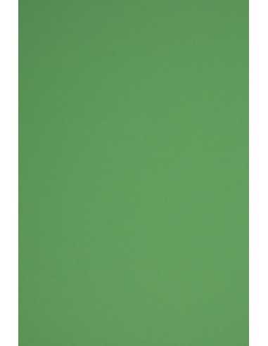 Papier coloré vert foncé 230g Rainbow - 20 feuilles A4