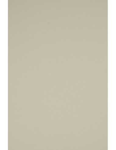 Papier coloré gris 230g Rainbow - 20 feuilles A4