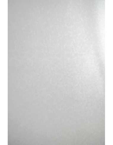 Papier métallisé blanc nacré motif circulaire 250g Aster Metalllic White Sequins - 10 feuilles A4