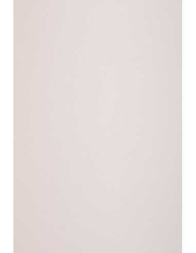 Papier ordinaire décoratif coloré écologique Keaykolour 120g Pastel Pink lumineux rose em. 10A4