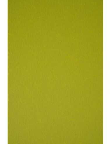 Papier décoratif coloré écologique Keaykolour 300g Kiwi vert 10A4