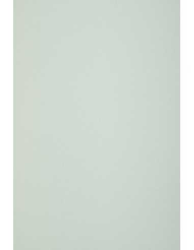 Papier décoratif coloré écologique Keaykolour 300g Pastel Green vert pastel 10A4