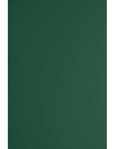 Papier coloré vert foncé 330g Plike Green - 10 feuilles A4