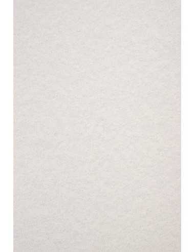 Papier ordinaire décoratif coloré marmurek Aster Laguna 180g Grey lumineux gris em. 20A4