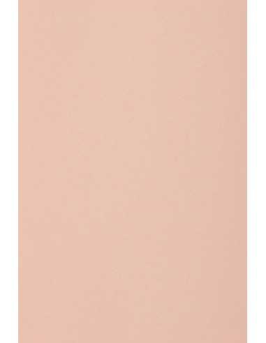 Papier coloré rose 250g Burano Rosa - 20 feuilles A4