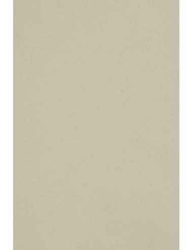 Papier coloré gris clair 250g Burano Grigio - 20 feuilles A4