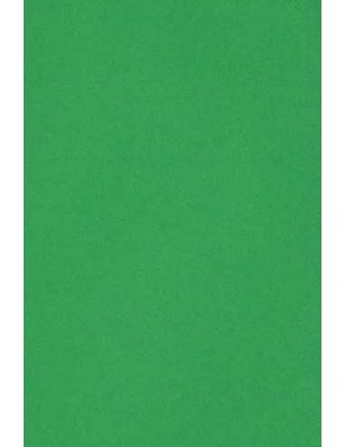 Papier coloré vert 250g Burano Verde Bandiera - 20 feuilles A4