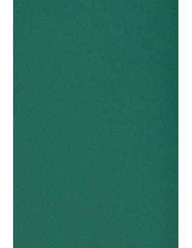 Papier coloré vert foncé 250g Burano English Green - 20 feuilles A4