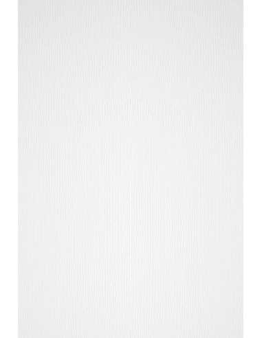 Papier coloré texturé à rayures blanc 100g Acquerello Bianco - 50 feuilles A4