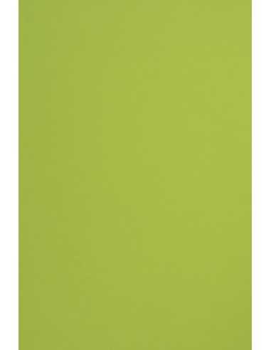 Papier coloré vert clair 115g Sirio Color Lime - 50 feuilles A4