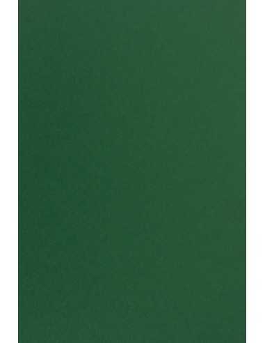 Papier coloré vert foncé 115g Sirio Color Foglia - 50 feuilles A4