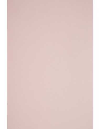 Papier coloré rose pâle 115g Sirio Color Nude - 50 feuilles A4