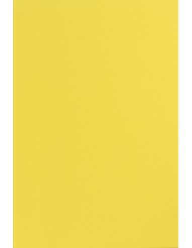 Papier coloré jaune 115g Sirio Color Limone - 50 feuilles A4