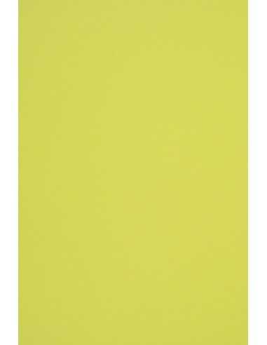 Papier ordinaire décoratif coloré écologique Woodstock 140g Pistacchio vert em. 10A4