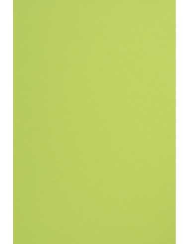 Papier coloré vert clair 210g Sirio Color Lime - 20 feuilles A4