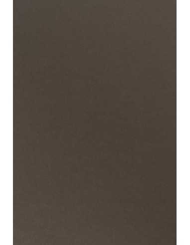 Papier coloré marron 170g Sirio Color Caffe - 20 feuilles A4