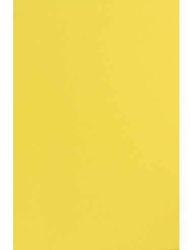 Papier coloré jaune 170g Sirio Color Limone - 20 feuilles A4