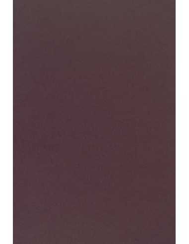 Papier ordinaire décoratif coloré Sirio Color 210g Vino sombre violet em. 25A4