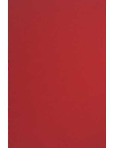 Papier coloré rouge 210g Sirio Color Lampone - 25 feuilles A4