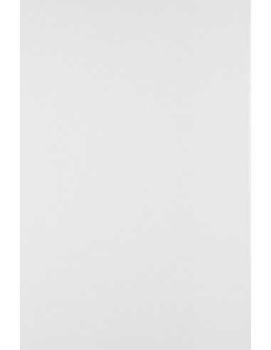 Papier blanc 120g Olin Regular Ultimate White - 50 feuilles A5