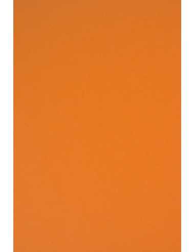 Papier ordinaire décoratif coloré Rainbow 230g R24 orange 70x100 R125