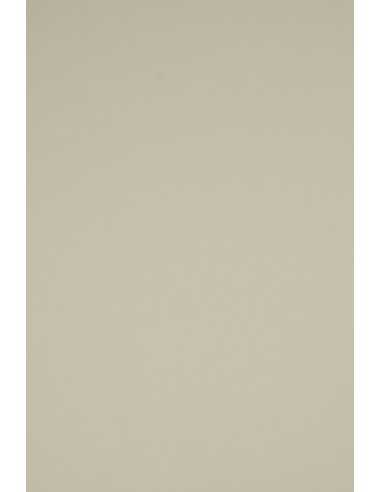 Papier coloré gris 230g Rainbow (70x100cm)