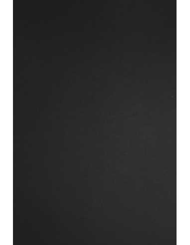 Papier coloré noir 140g Plike Black (72x102cm)