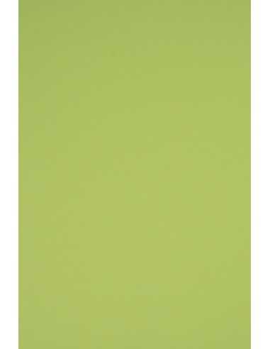 Papier coloré vert clair 160g Rainbow (92x65cm)