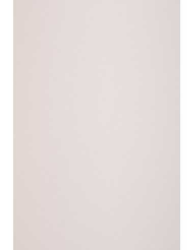 Papier ordinaire décoratif coloré écologique Keaykolour 120g Pastel Pink lumineux rose 70x100 R250