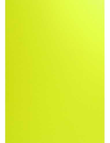 Papier coloré vert 270g Curious Skin Absynt (70x100cm)