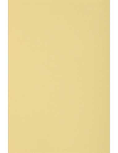 Papier coloré vanille 250g Burano Camoscio (70x100cm)