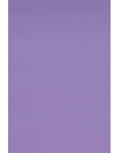 Papier ordinaire décoratif coloré Burano 250g B49 Violet violet 70x100 R125