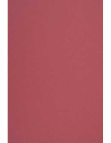 Papier recyclé rose foncé 170g Woodstock Malva (70x100cm)