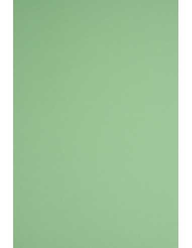 Papier ordinaire décoratif coloré écologique Woodstock 170g Verde vert 70x100 R200