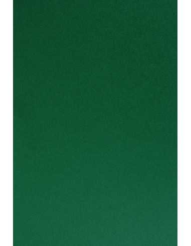 Papier coloré vert foncé 210g Sirio Color Foglia (70x100cm)