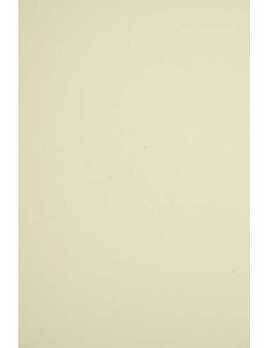 Papier ordinaire décoratif coloré écologique Woodstock 285g Betulla écru avec interjections 70x100 R100