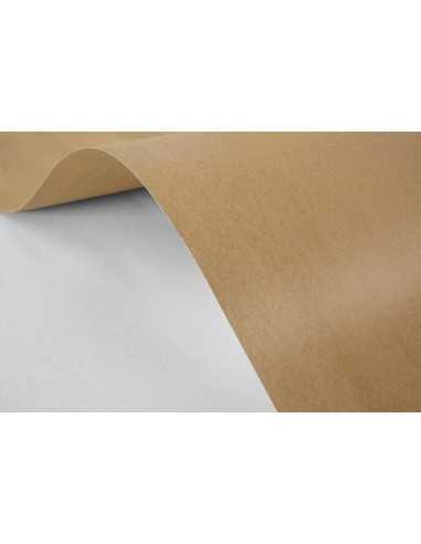 Papier ordinaire décoratif écologique Kraft EKO 170g marron 70x100 R200