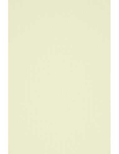 Papier décoratif texturé nervuré coloré Acquerello 100g Avorio écru 72x101 R250