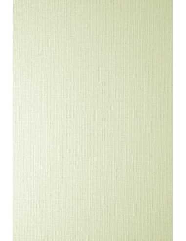 Papier texturé toile écru 246g Elfenbein Linen Chamois (61x86cm)