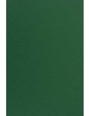 Papier ordinaire décoratif coloré Sirio Color 115g Foglia sombre vert 70x100 R250