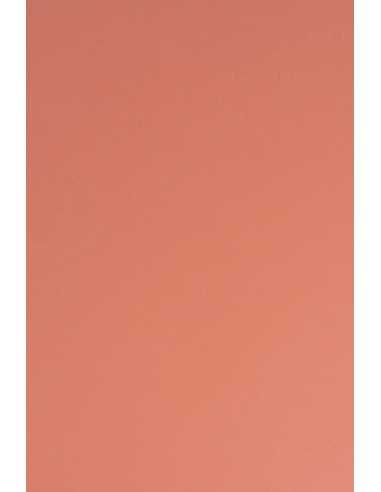 Papier coloré rouge clair 115g Sirio Color Flamingo (70x100cm)