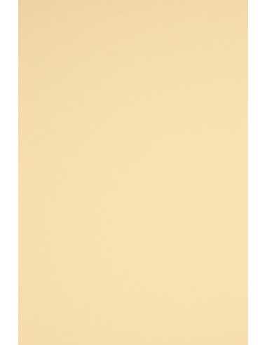 Papier ordinaire décoratif coloré Rainbow 230g R03 crème em. 10A3